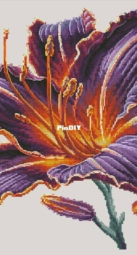 Daylili by Anastasiia Yermakova XSD