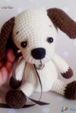 little puppy