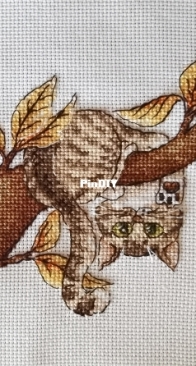 Murcat / Cat hanging in a tree