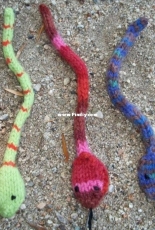 The byrds nest - Julie L. Anderson - small snake - free