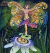 HAE HAELV 002 Belly Dancer Fairy - Lisa Victoria