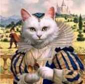 HAED HAERSQS033 White Cat