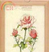 Green Apple FS591 Roses I