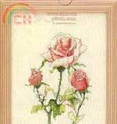 Green Apple FS591 Roses I