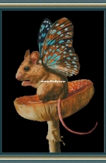Butterfly Mouse XSD