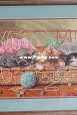 Kitty litter (Dimentions 351840)
