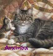 Arxinda - Cats