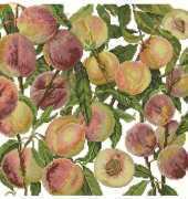 Peaches Pillow by Donna Vermillion Giampa from Just Cross Stitch May - June 2002