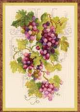 Riolis 1455 Grapevine