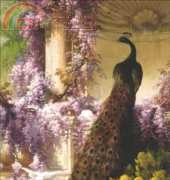 Golden Kite GK 971 - A Peacock and Doves in a Garden