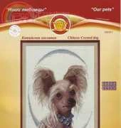 Zolotoe Runo NL-011 Chinese Crested dog
