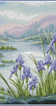 Swamp Irises - Eva Stitch & Morra Marran XSD