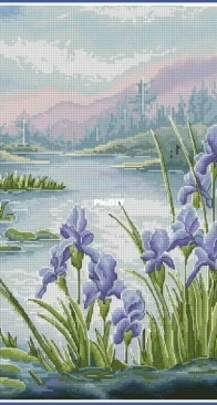 Swamp Irises - Eva Stitch & Morra Marran XSD