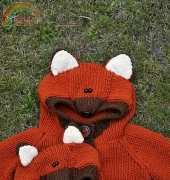 William the wily fox by Kasia Smolak /Wild Mint Studio