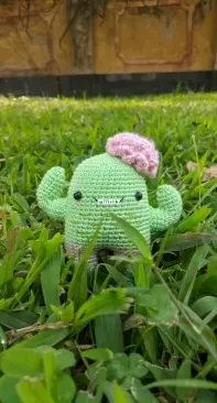 Cactus