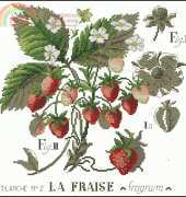 Les Brodeuses Parisiennes - Letude aux Fraises 1