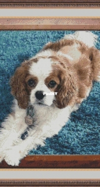 Thomas Subandriyo - A3595 - Cute Dog - Free