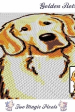 Two Magic Pixels - Golden Retriever
