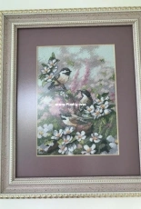 My first Dimensions - Chickadees in spring