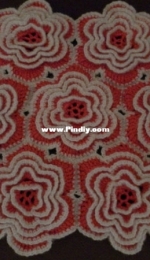 Doily