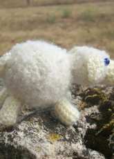 petit mouton