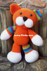 orange Cat
