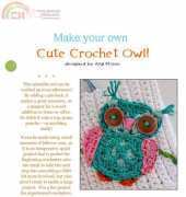 Pink Willow Designs - Cute Crochet Owl by Anji Masse 2007