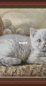 Kitty by Natalia Pyshnograeva