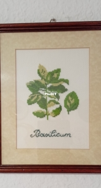 Basil