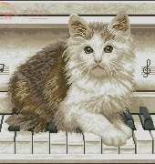 PC Studio 466 xsd