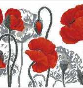 Riolis Premium 100/037 - Poppies - XSD