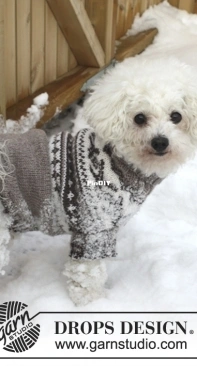 Drops Design - Lets Go Free Dog Sweater  - Spanish - Free