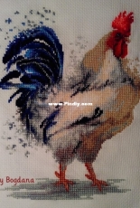 Lucas "Rooster" by Bo