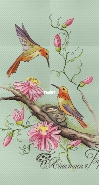 Hummingbird by Anastasia Berg XSD