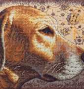 Dimensions 35273 Yellow Lab