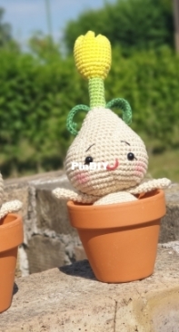 Tulip bulb dolls