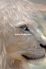 HAED HAECCC 3695 Natures King by Carol Cavalaris XSD + PCS