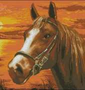 Rogoblen 4.49 - Proud Horse in the Sunset XSD