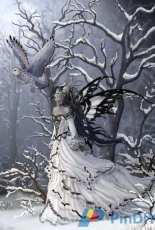 HAED HAENNT 107 Queen of The Owls by Nene Thomas