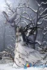 HAED HAENNT 107 Queen of The Owls by Nene Thomas
