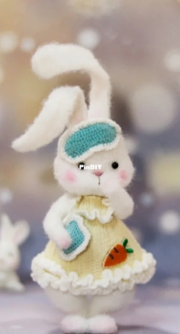 Dui Lanse Shi Zui Hao Kan De Yanse - Old Lan - Shen Xiaoxian - Pocket Rabbit - Chinese