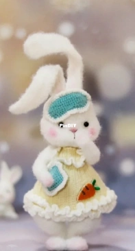 Dui Lanse Shi Zui Hao Kan De Yanse - Old Lan - Shen Xiaoxian - Pocket Rabbit - Chinese