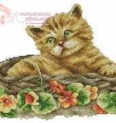 Kitten in Basket from Kram z Robótkami 10/2007 XSD