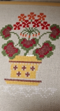 Owl forest - House plants. Part 1