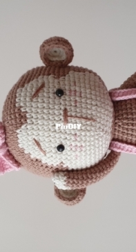 hi from little monkey