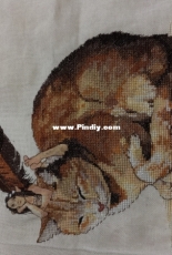 Nimue - Fairycat