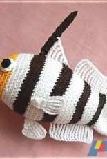 Paw Paws Studio - Yellownose Shrimp Goby