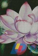 I Love Crosstitch BE-018 Pink Lotus Blossom