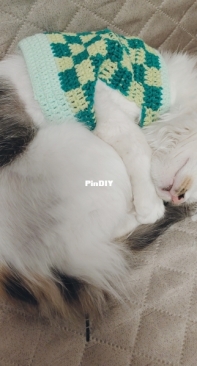 handmade cat sweater