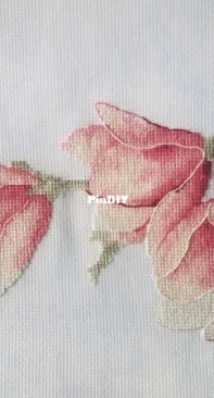 Magnolias